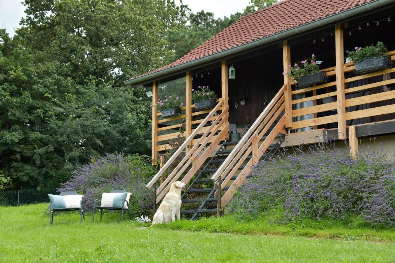 Le Chalet D'Eliot Chevigny  Ngoại thất bức ảnh